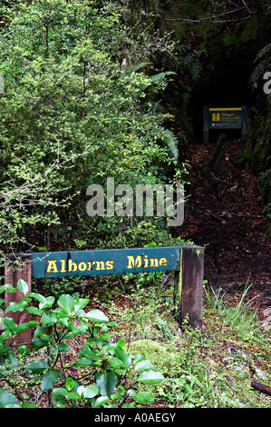 Charbon Mine Alborns à pied, le Parc Forestier de Victoria, Reefton, île du Sud, Nouvelle-Zélande Banque D'Images