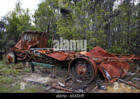 Charbon Mine Alborns à pied, le Parc Forestier de Victoria, Reefton, île du Sud, Nouvelle-Zélande Banque D'Images