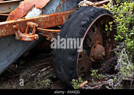 Charbon Mine Alborns à pied, le Parc Forestier de Victoria, Reefton, île du Sud, Nouvelle-Zélande Banque D'Images