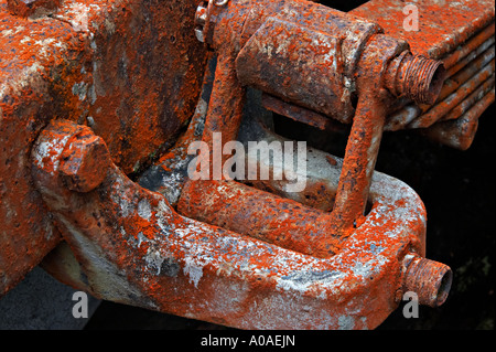 Charbon Mine Alborns à pied, le Parc Forestier de Victoria, Reefton, île du Sud, Nouvelle-Zélande Banque D'Images