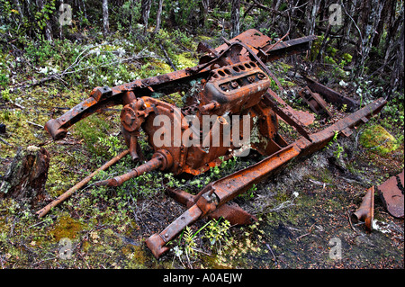 Charbon Mine Alborns à pied, le Parc Forestier de Victoria, Reefton, île du Sud, Nouvelle-Zélande Banque D'Images