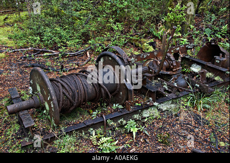 Charbon Mine Alborns à pied, le Parc Forestier de Victoria, Reefton, île du Sud, Nouvelle-Zélande Banque D'Images