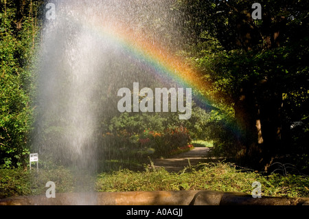 Un arc-en-ciel vibrant montrant des gouttes d'eau de fontaine dans un parc verdoyant luxuriant par une journée ensoleillée. Banque D'Images