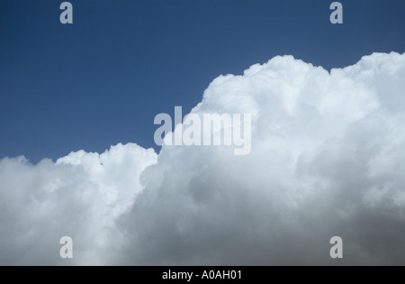 Banque du haut blanc flottant Cumulus ou Cumulonimbus avec un dessous gris sous un ciel bleu profond Banque D'Images