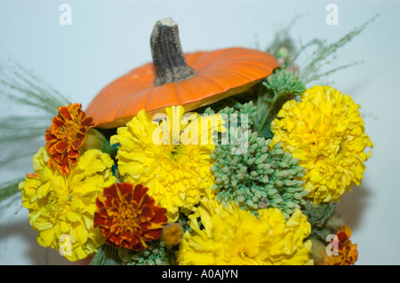 Arrangement d'automne de fleurs jaunes et de citrouille avec des soucis et des bourgeons verts sur un fond blanc. Banque D'Images