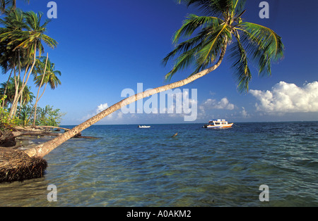 Caraïbes Trinidad Tobago vue panoramique d'un palmier de balayage et colorée en vert mer bateau ocean Pigeon Point Tobago Banque D'Images