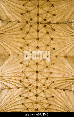 Cathédrale d'Ely Plafond voûté la dame chapelle Cambridgeshire Banque D'Images