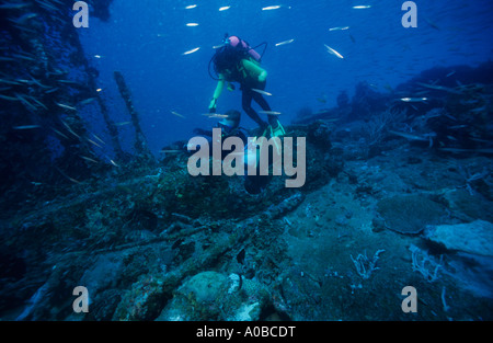 Divers Tony et la flore du bois sur la superstructure du Nanshin Maru épave de l'île Noire l'Île Coron Palawan Philippines Banque D'Images