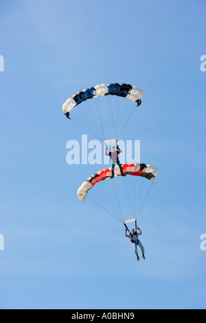 Sky divers sauter en tandem Banque D'Images