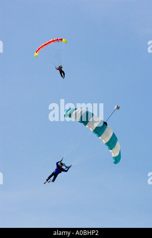 Sky divers sauter en tandem Banque D'Images