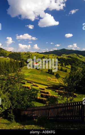 L'Europe Roumanie Moldavie Bucovine paysage vu de Ciumarna Col Banque D'Images
