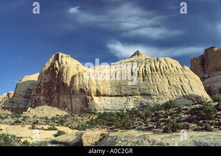 Dômes de grès Navajo dessus la jante donnent sur sentier, Capitol Reef Nat Park, Utah, USA Banque D'Images