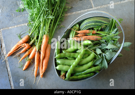 Une sélection DE LÉGUMES FRAIS ET DES HERBES DANS UN PANIER MÉTAL UK Banque D'Images