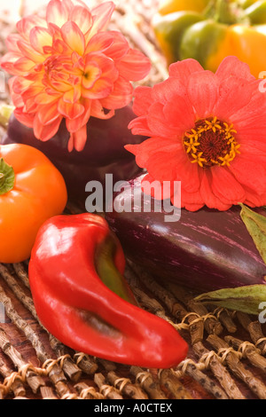 Libre de zinnias et légumes sur une brindille mat. Banque D'Images