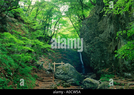 Une zone naturelle connue au Rock Garden en forêt près de Mitake Chichibu Tama parc national près de Tokyo Japon Banque D'Images