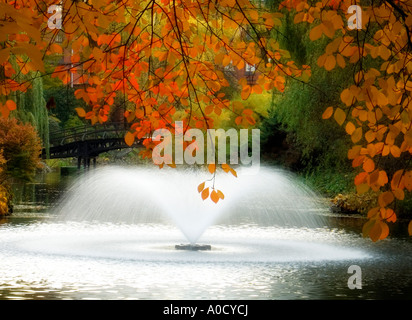 Pologne Wroclaw Botanical Gardens en automne avec fontaine Banque D'Images