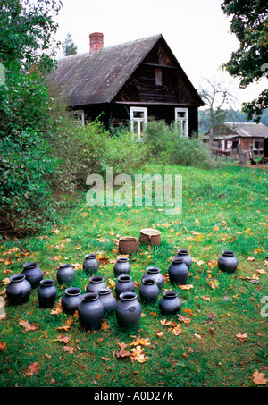 Roi de Biebrza place dans village Budy, cottage Banque D'Images