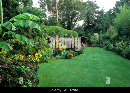 SUB-tropicales de l'ENSEMENCEMENT AVEC PELOUSE PARFAITE À KNOLL JARDIN DORSET AVEC PALMIERS BANANIERS ET CANNA Banque D'Images