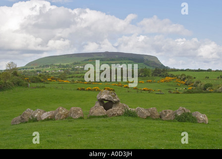 Comté de Sligo Irlande Cimetière mégalithique de Carrowmore tombe 7 Knocknarea Mountain en arrière-plan Banque D'Images