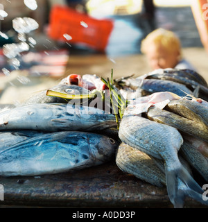 Poisson frais liés par leurs branchies Banque D'Images