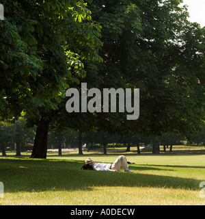 L'homme dort dans le soleil de l'été à Clissold Park North London England UK Banque D'Images
