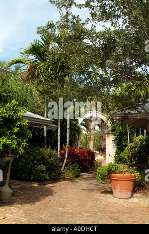 Le Florida Botanical Gardens at Largo Florida USA Le jardin botanique est situé dans la pinède du Parc Culturel Banque D'Images
