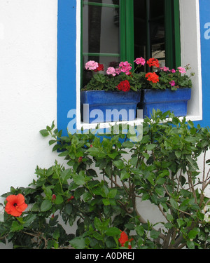 Les jardinières en céramique sur rebord de fenêtre Banque D'Images