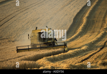 Moissonneuse-batteuse au travail dans l'agriculture énorme champ près de simple Wiltshire Banque D'Images