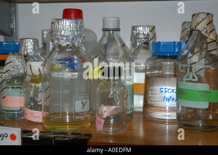 Substances et produits chimiques de laboratoire biologique sur une tablette à un poste de travail dans un laboratoire de bio Banque D'Images