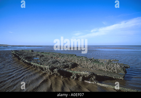 Épave sur plage à marée basse holme next la mer North Norfolk Norfolk East Anglia angleterre uk Banque D'Images