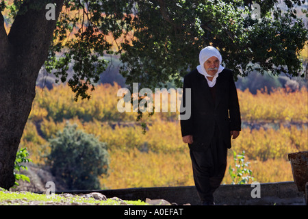 Israël Golan druze un homme marchant dans sa plantation Banque D'Images