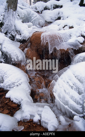 Plus de précipitation de l'eau des roches couvertes de glace dans la région de Vidzeme Lettonie Davida springs Banque D'Images