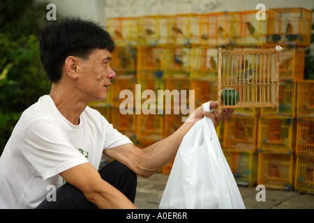 Le marché des oiseaux et des fleurs, Kowloon. Banque D'Images