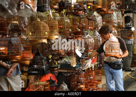 Le marché des oiseaux et des fleurs, Kowloon. Banque D'Images