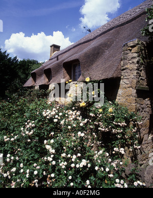 Un anglais très serein sur un jour d'été dans le village de Cotswold Stanway avec ses fleurs à côté des cottages Banque D'Images