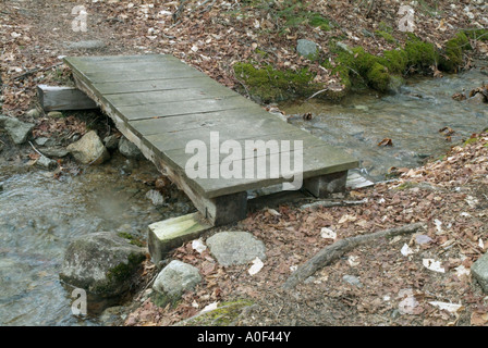 Pied en bois Pont sur Hale Brook Trail situé dans la White Mountain National Forest USA Banque D'Images