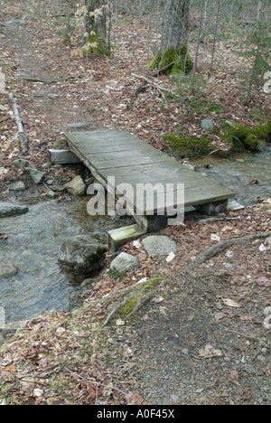 Pied en bois Pont sur Hale Brook Trail situé dans la White Mountain National Forest USA Banque D'Images