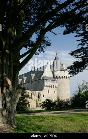 Château de Suscinio en Bretagne France Banque D'Images