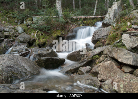 Un petit ruisseau sur Hale Brook Trail situé dans la White Mountain National Forest USA Banque D'Images