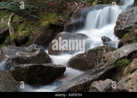 Un petit ruisseau sur Hale Brook Trail situé dans la White Mountain National Forest USA Banque D'Images