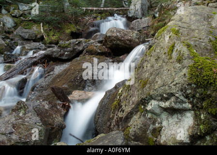 Un petit ruisseau sur Hale Brook Trail situé dans la White Mountain National Forest USA Banque D'Images