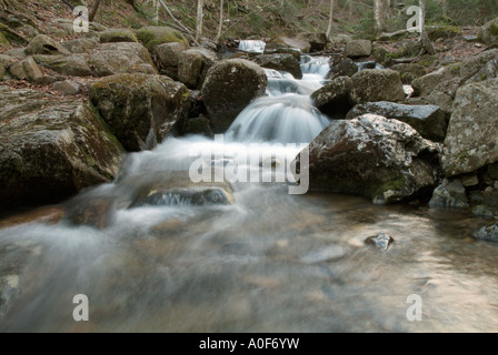 Un petit ruisseau sur Hale Brook Trail situé dans la White Mountain National Forest USA Banque D'Images