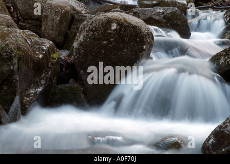 Un petit ruisseau sur Hale Brook Trail situé dans la White Mountain National Forest USA Banque D'Images