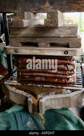 Les pommes broyées enveloppés dans des chiffons de toile de jute empilés pour filtrer le jus de pommes de pâte pour faire le cidre UK Banque D'Images