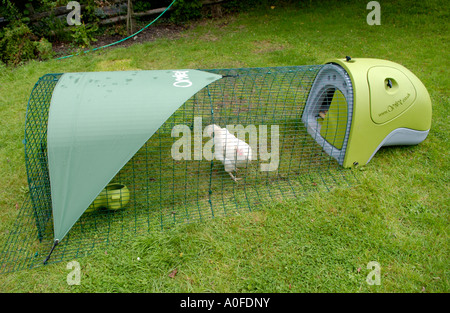 Plastique enquête - OMLET chicken run sur pelouse dans jardin de house UK Banque D'Images