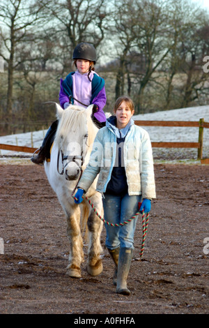 Fille plus jeune fille de premier plan sur les petits poney gris Banque D'Images