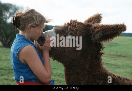 Le Baudet du Poitou (Equus asinus asinus), girl kissing un poulain, France, Alsace Banque D'Images