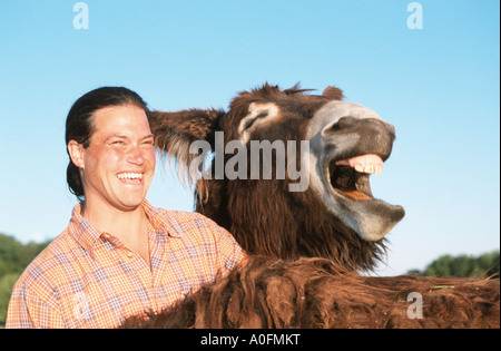 Le Baudet du Poitou (Equus asinus asinus), avec l'homme, riant, France, Alsace Banque D'Images