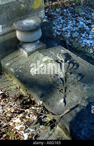 Vieux cimetière judaïque près de Brasov Moldavie côté est de Roumanie Roumanie l'Europe de l'Europe Banque D'Images