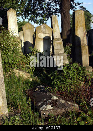 Vieux cimetière judaïque près de Brasov Moldavie côté est de Roumanie Roumanie l'Europe de l'Europe Banque D'Images